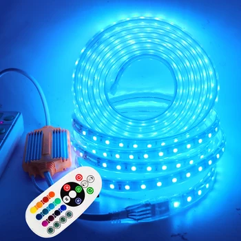220V LED RGB Лента 5050 Гъвкав Светлина 24key Дистанционно Управление EU Plug Kit 60LEDs/m IP67 Водоустойчива Гъвкава Led Лента За Декорация на Дома