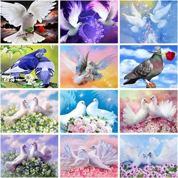 GATYZTORY Боя На Номер Бял Гълъб Комплекти Животни За Възрастни С Ръчно Рисувани Сам за Оцветяване По Номер На Платно Декорация на Дома