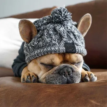 Зимни топли шапки за кучета, ветрозащитная вязаная капачка френски булдог за кучета, шапка, чихуахуа, пухкава топка, Аксесоари за малки кученца, Шапки за домашни любимци
