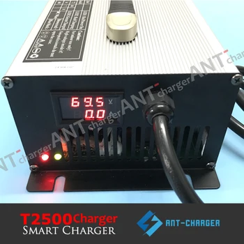 Индивидуалното интелигентно зарядно устройство 2500W 54.75 V 35A 15S LiFePO4 LFP Battery