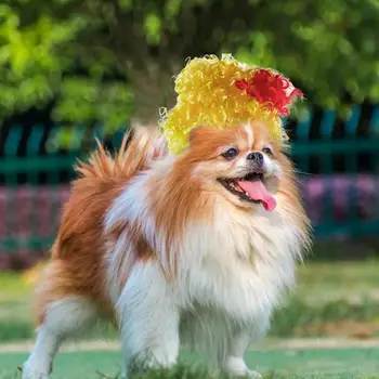 Перука за кучета, светъл регулируема перука за забавни cosplay-партита, фестивали, аксесоари за костюми, прекрасни кучета и котки, цветна перука за кучета