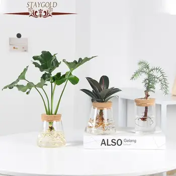 Скандинавските растения, гидропонная ваза за цветя, кристални декорации, аксесоари за дома, минималистичная ваза, прозрачна стъклена ваза